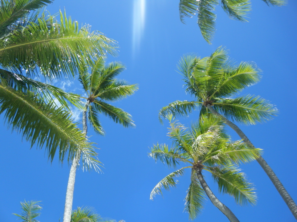 f:id:sunaowamuteki:20180423152650j:plain