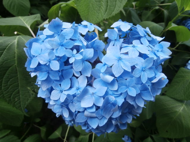 f:id:sunaowamuteki:20180617160009j:plain