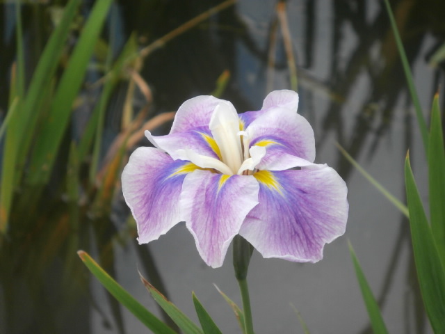 f:id:sunaowamuteki:20180617160453j:plain