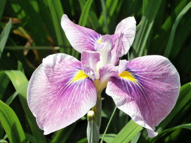 f:id:sunaowamuteki:20180617160730j:plain