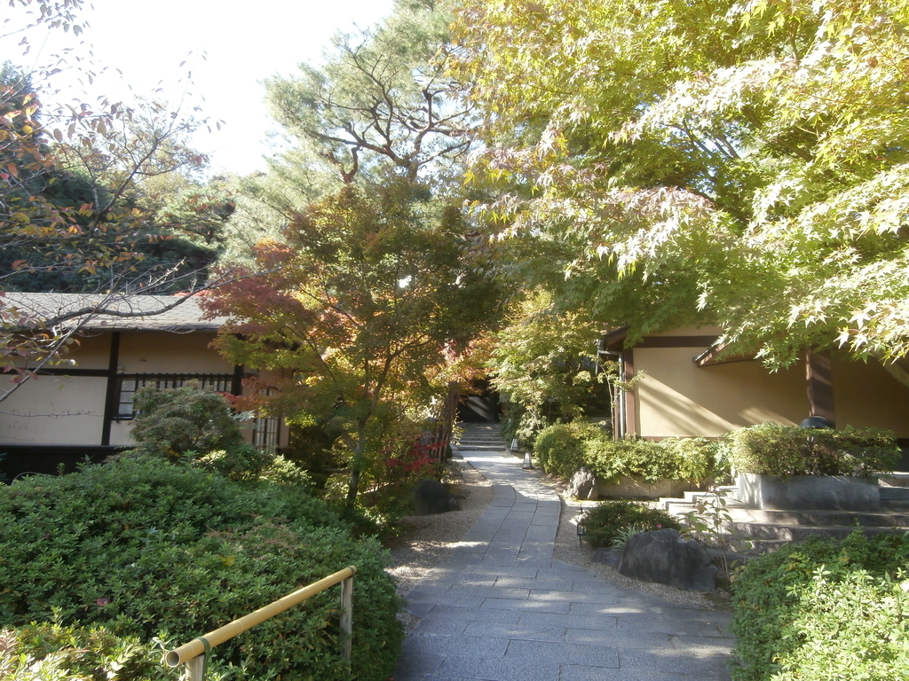 f:id:sunaowamuteki:20181022195559j:plain f:id:sunaowamuteki:20181022195559j:plain