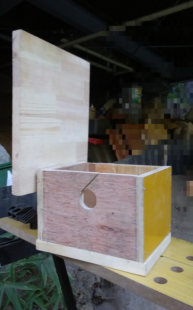 f:id:suncatch:20190925170916j:plain