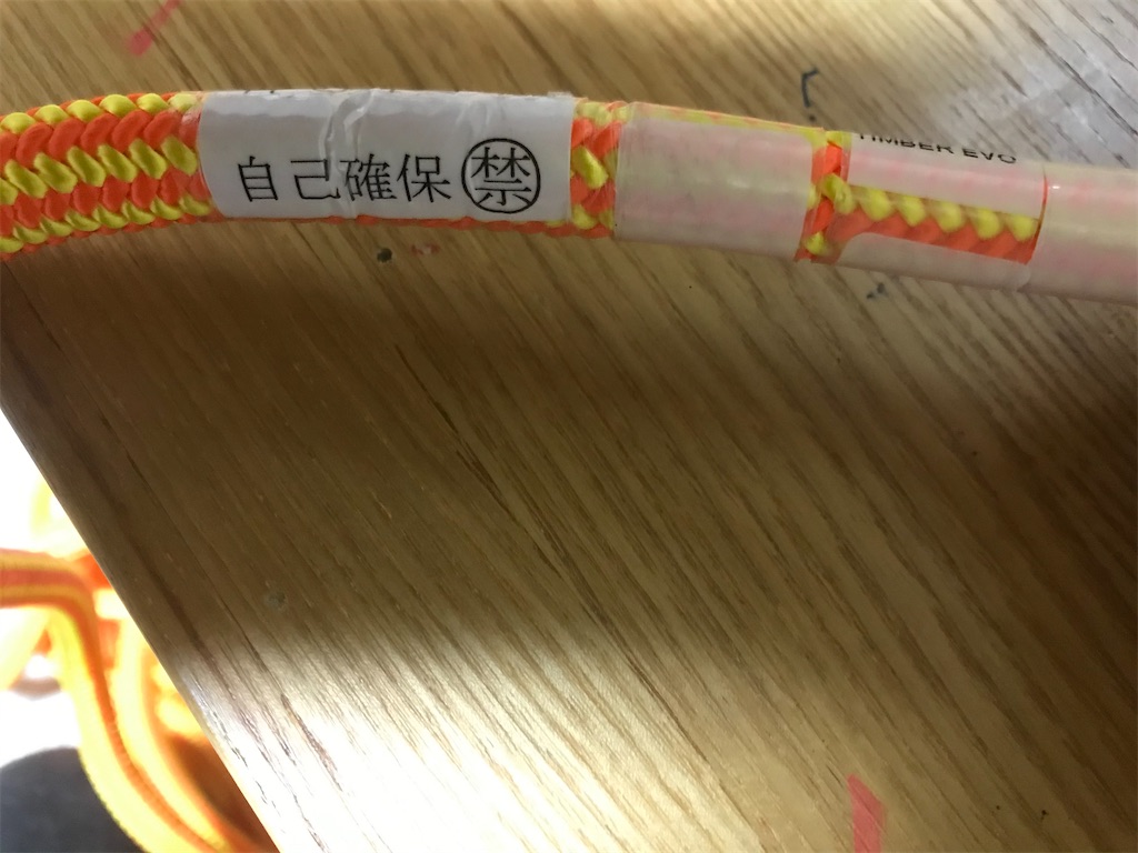 f:id:sundaytreeclimber:20201122224720j:image