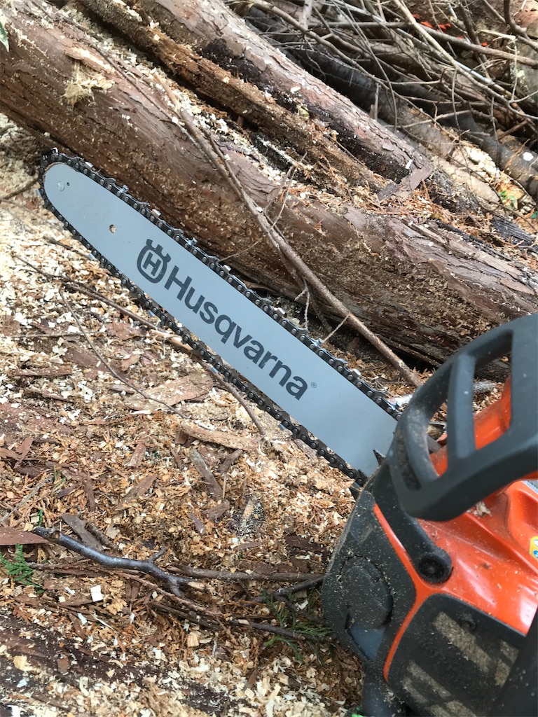 f:id:sundaytreeclimber:20210116214514j:image f:id:sundaytreeclimber:20210116214514j:image
