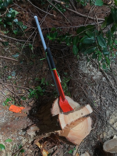 f:id:sundaytreeclimber:20210807151951j:image