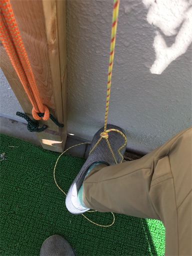 f:id:sundaytreeclimber:20220226103341j:image f:id:sundaytreeclimber:20220226103341j:image