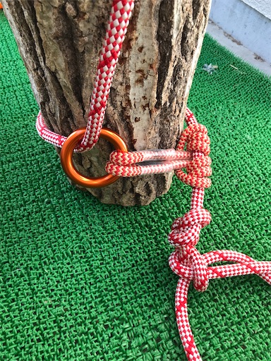 f:id:sundaytreeclimber:20220226111651j:image f:id:sundaytreeclimber:20220226111651j:image