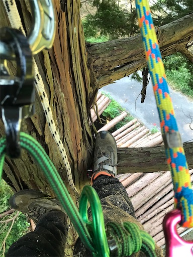 f:id:sundaytreeclimber:20221001213244j:image