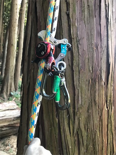 f:id:sundaytreeclimber:20221001225214j:image