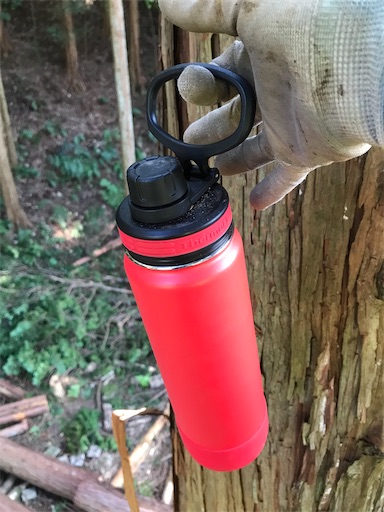 f:id:sundaytreeclimber:20221001225401j:image