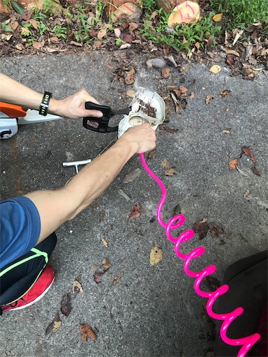 f:id:sundaytreeclimber:20221001225820j:image