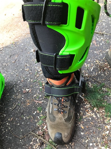 f:id:sundaytreeclimber:20221001232609j:image