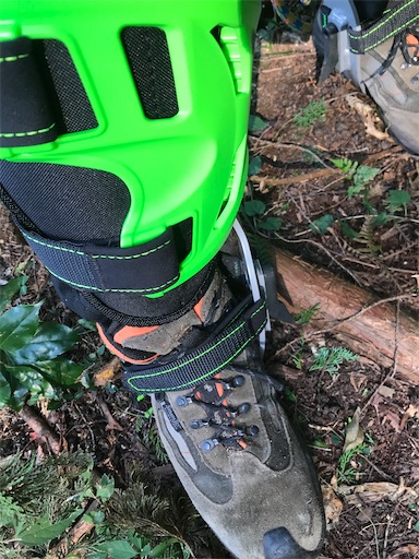 f:id:sundaytreeclimber:20221001232612j:image