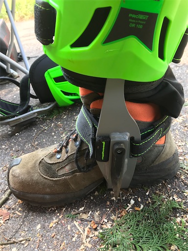 f:id:sundaytreeclimber:20221001232722j:image