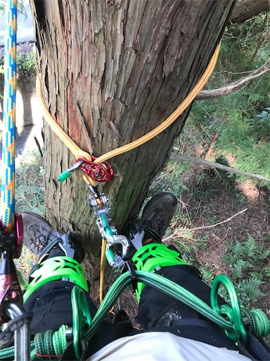 f:id:sundaytreeclimber:20221001233625j:image