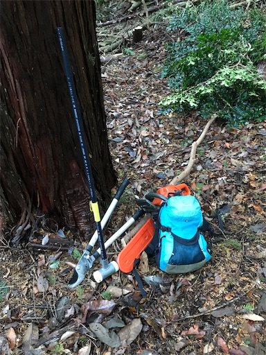 f:id:sundaytreeclimber:20230213205758j:image