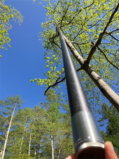 f:id:sundaytreeclimber:20230503113222j:image