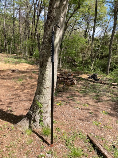 f:id:sundaytreeclimber:20230503142057j:image