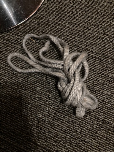 f:id:sundaytreeclimber:20231231205233j:image f:id:sundaytreeclimber:20231231205233j:image