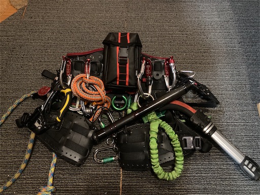 f:id:sundaytreeclimber:20231231205256j:image f:id:sundaytreeclimber:20231231205256j:image