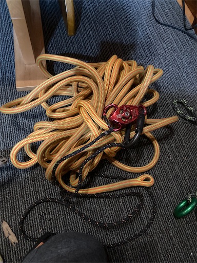 f:id:sundaytreeclimber:20231231205308j:image f:id:sundaytreeclimber:20231231205308j:image