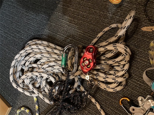 f:id:sundaytreeclimber:20231231205319j:image f:id:sundaytreeclimber:20231231205319j:image