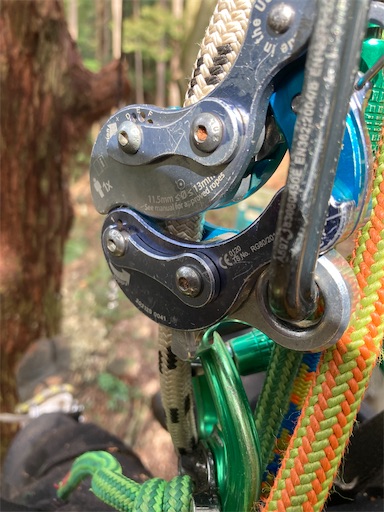 f:id:sundaytreeclimber:20240224151240j:image