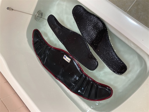 f:id:sundaytreeclimber:20240224153611j:image