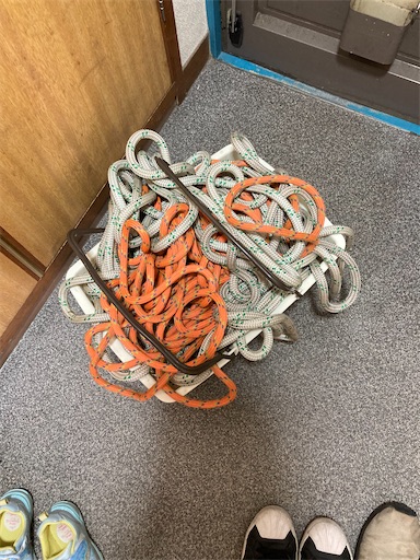 f:id:sundaytreeclimber:20240224153614j:image