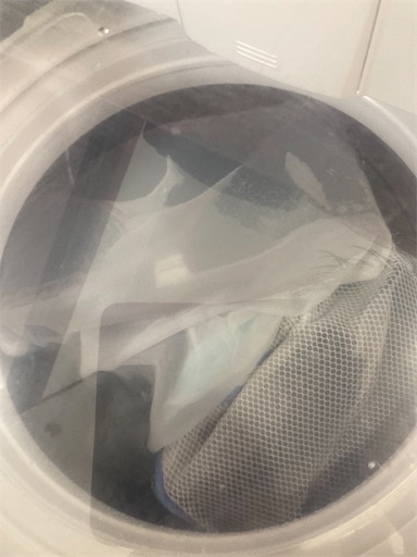 f:id:sundaytreeclimber:20240224153925j:image