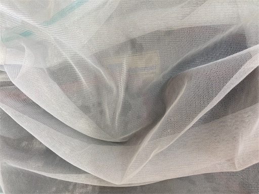 f:id:sundaytreeclimber:20240224153932j:image