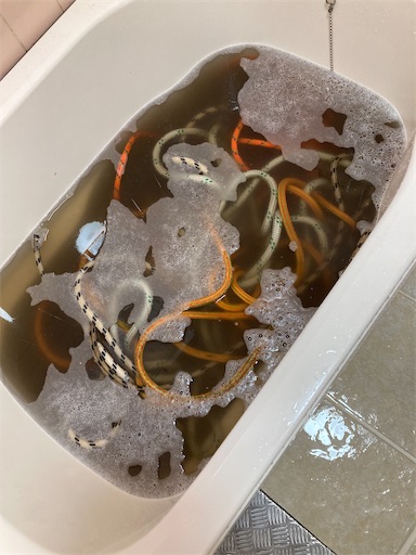 f:id:sundaytreeclimber:20240224154158j:image