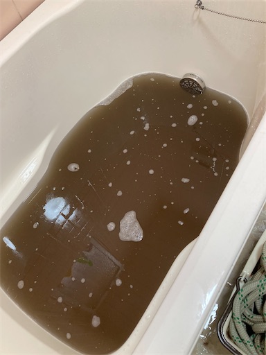 f:id:sundaytreeclimber:20240224161739j:image