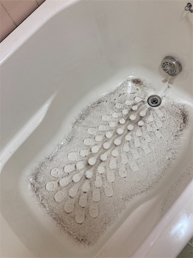 f:id:sundaytreeclimber:20240224161758j:image