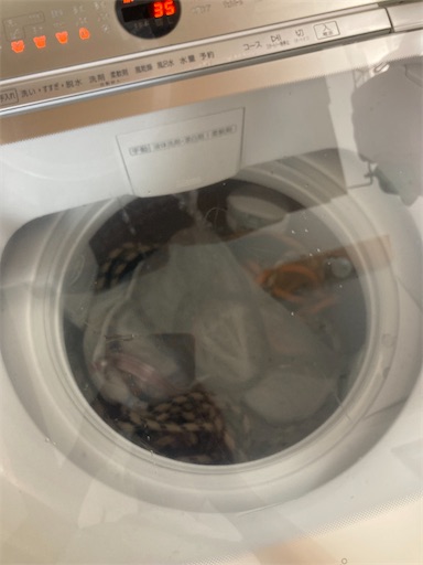 f:id:sundaytreeclimber:20240224162552j:image