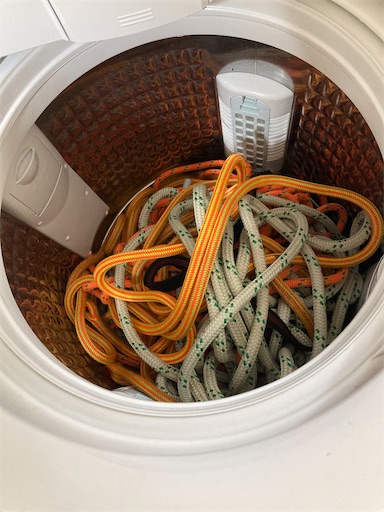 f:id:sundaytreeclimber:20240224181648j:image