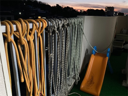 f:id:sundaytreeclimber:20240224181942j:image