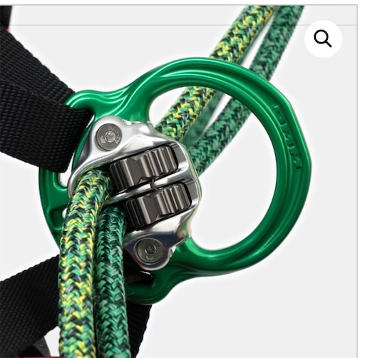 f:id:sundaytreeclimber:20240316165916j:image