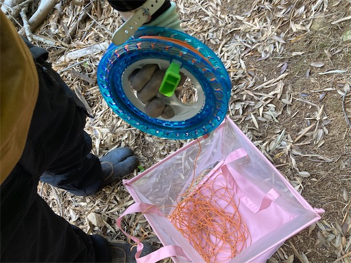 f:id:sundaytreeclimber:20240522080347j:image