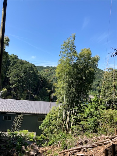 f:id:sundaytreeclimber:20240522080727j:image