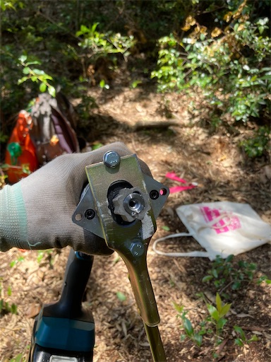 f:id:sundaytreeclimber:20240522203116j:image