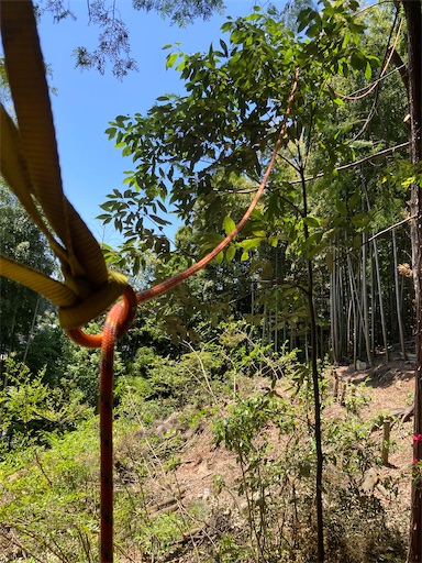 f:id:sundaytreeclimber:20240522203122j:image