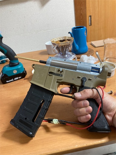 f:id:sundaytreeclimber:20240525191834j:image f:id:sundaytreeclimber:20240525191834j:image