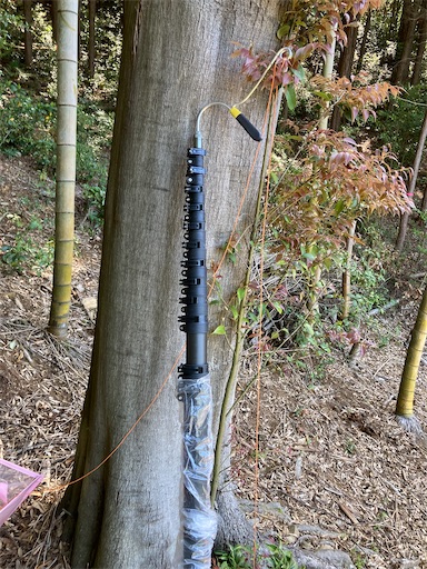 f:id:sundaytreeclimber:20240712194840j:image