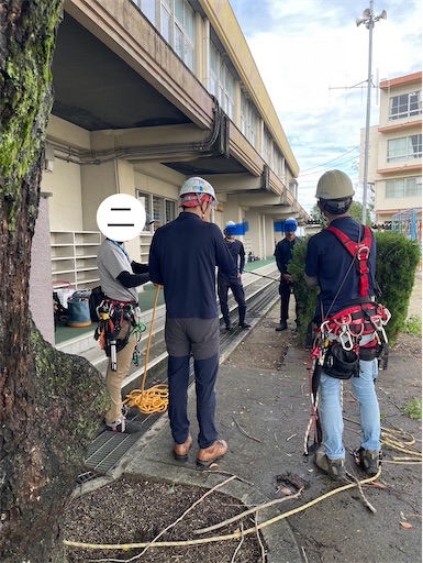 植木屋職人は木の上に立つ - 木登り日和