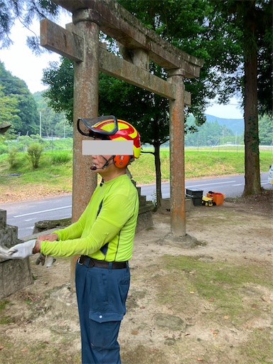 f:id:sundaytreeclimber:20250705191846j:image