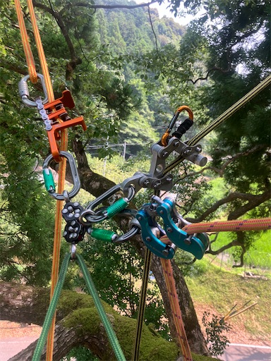 f:id:sundaytreeclimber:20250705200748j:image