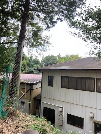 f:id:sundaytreeclimber:20251005214904j:image