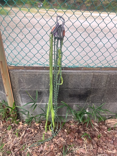 f:id:sundaytreeclimber:20251005220347j:image