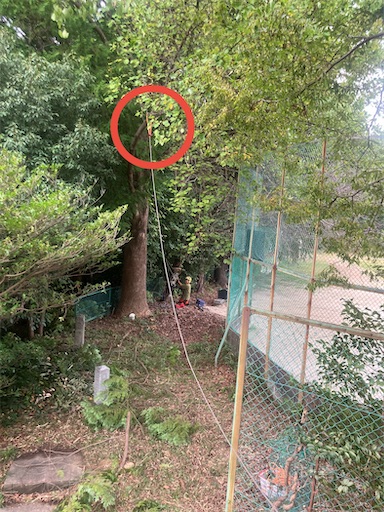 f:id:sundaytreeclimber:20251005220350j:image